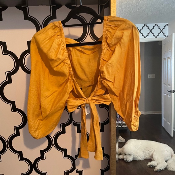 Top - Picture 2 of 3